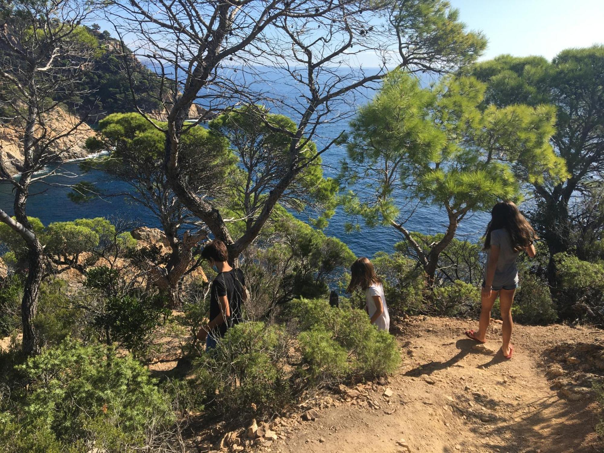 Bertur Cala Llevado Appartamento Tossa de Mar